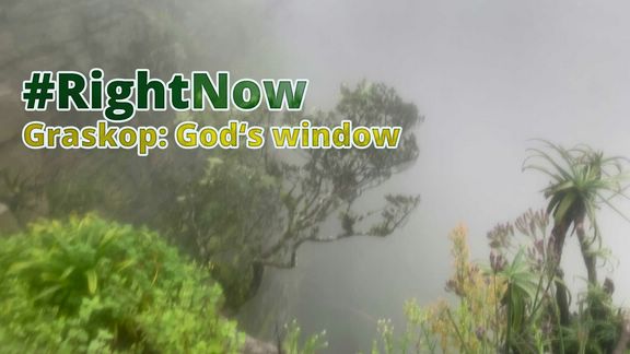 #RightNow Graskop: God's window (Jan 24th 2020)