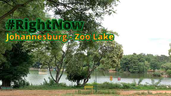 #RightNow Johannesburg: Zoo Lake (Jan 10th 2020)