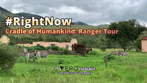 #RightNow - EP10 - Cradle of Humankind: Ranger Tour